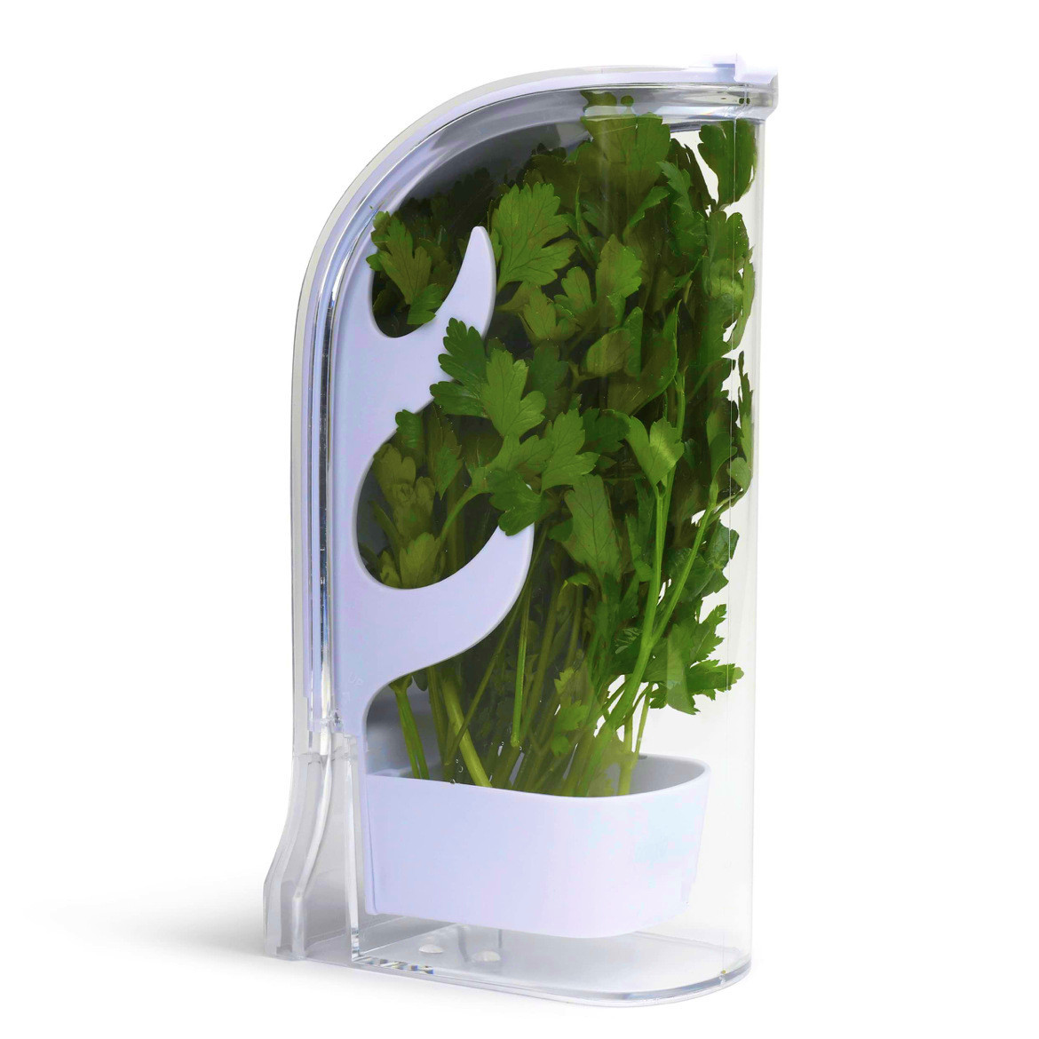 Herb Keeper Container - ハーブクリスパーセーバーコンテナ冷蔵庫横開きコンテナハーブ野菜キーパーフレッシュボトルキッチンガジェット
