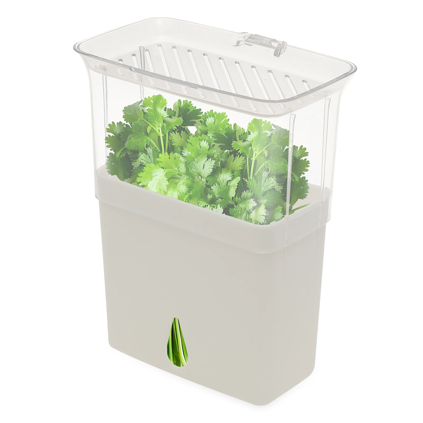 Herb Keeper Container - クリアハーブセーバー保存容器 密閉型フレッシュハーブキーパー 冷蔵庫用 野菜・バニラビーン保存ボックス ハーブ保存容器