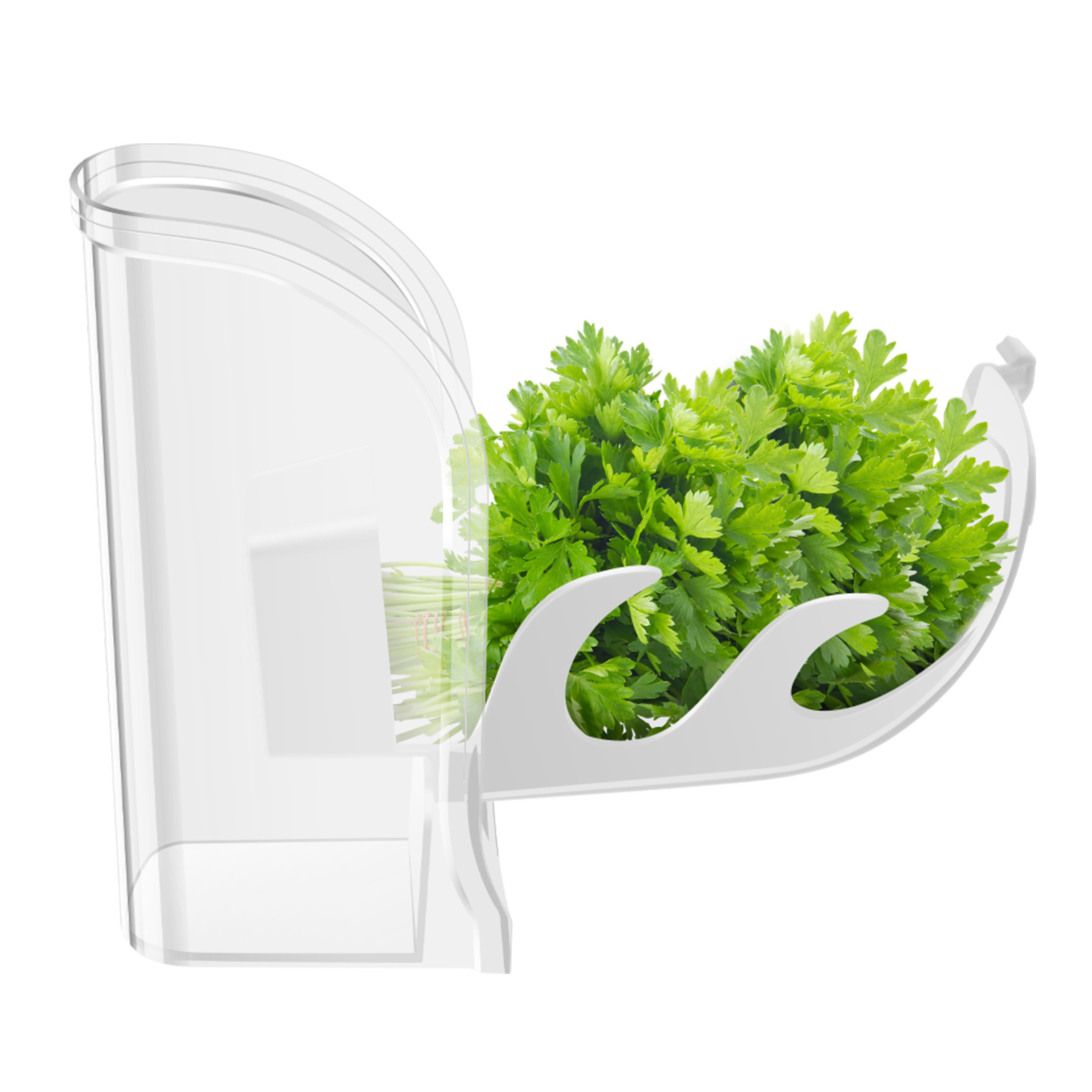 ハーブクリスパーセーバーコンテナ冷蔵庫横開きコンテナハーブ野 - Herb Keeper Container のレビューと価格