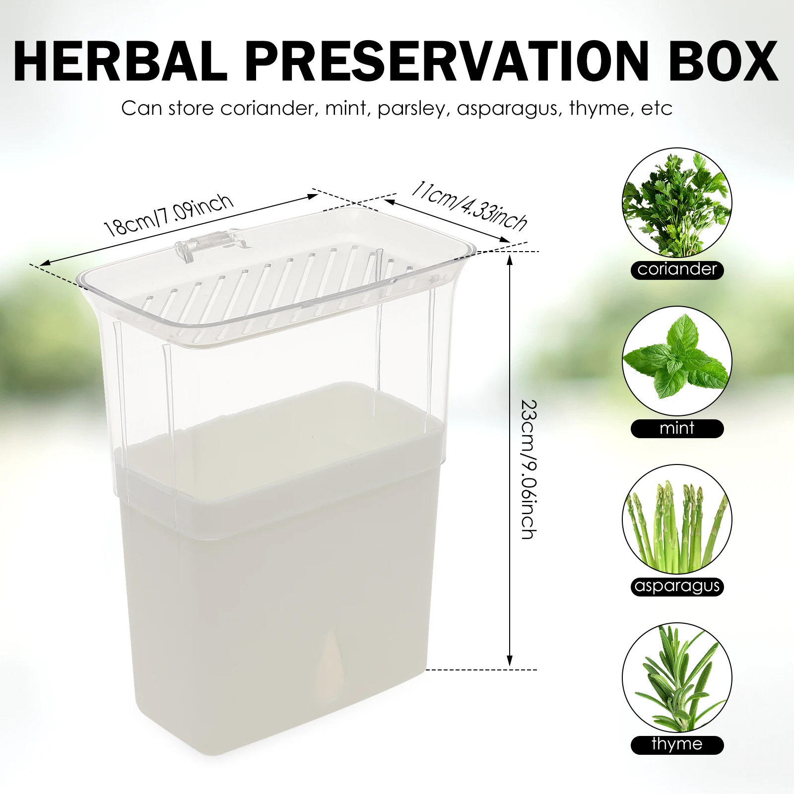 クリアハーブセーバー保存容器 密閉型フレッシュハーブキーパー - Herb Keeper Container のレビューと価格