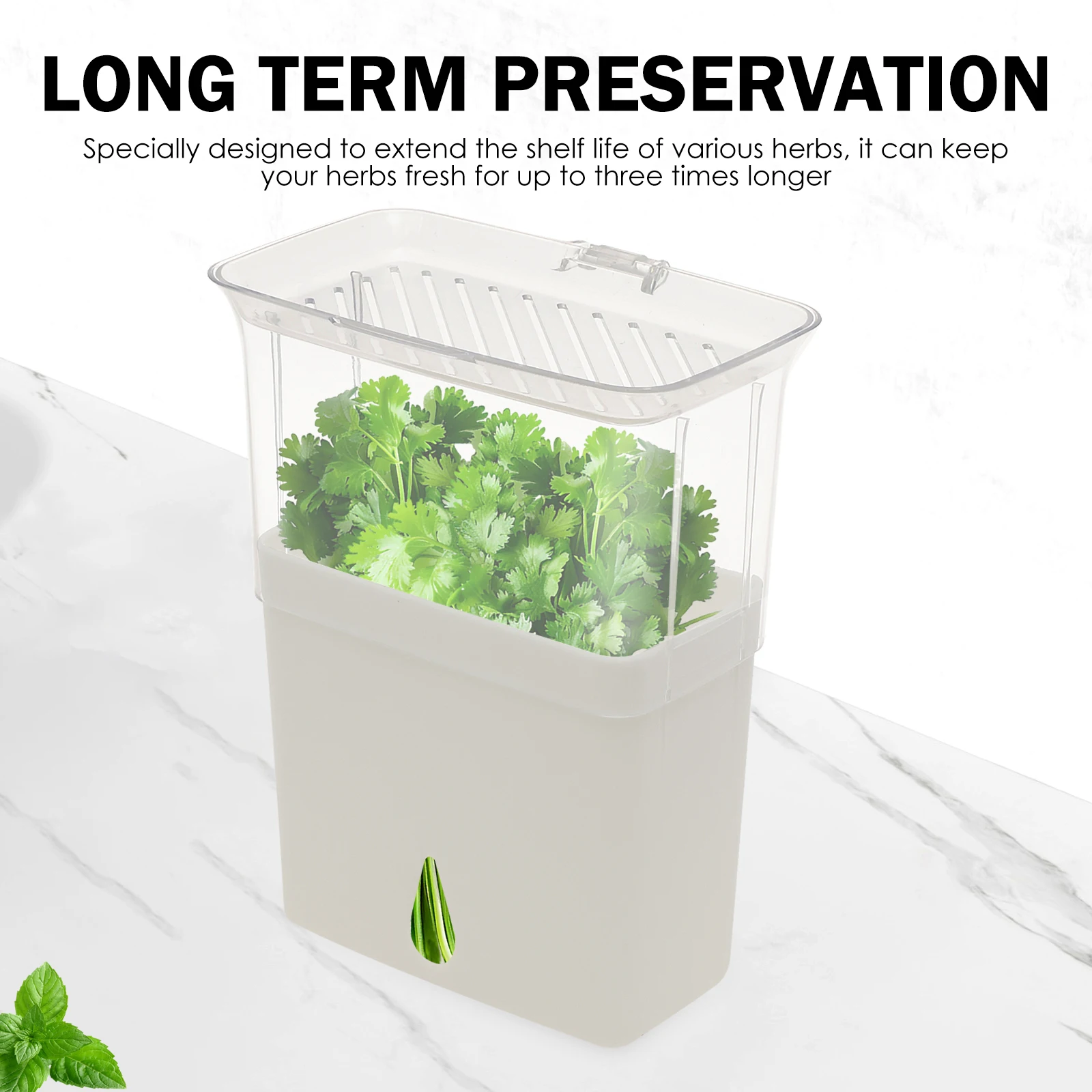 クリアハーブセーバー保存容器 密閉型フレッシュハーブキーパー - Herb Keeper Container のレビューと価格