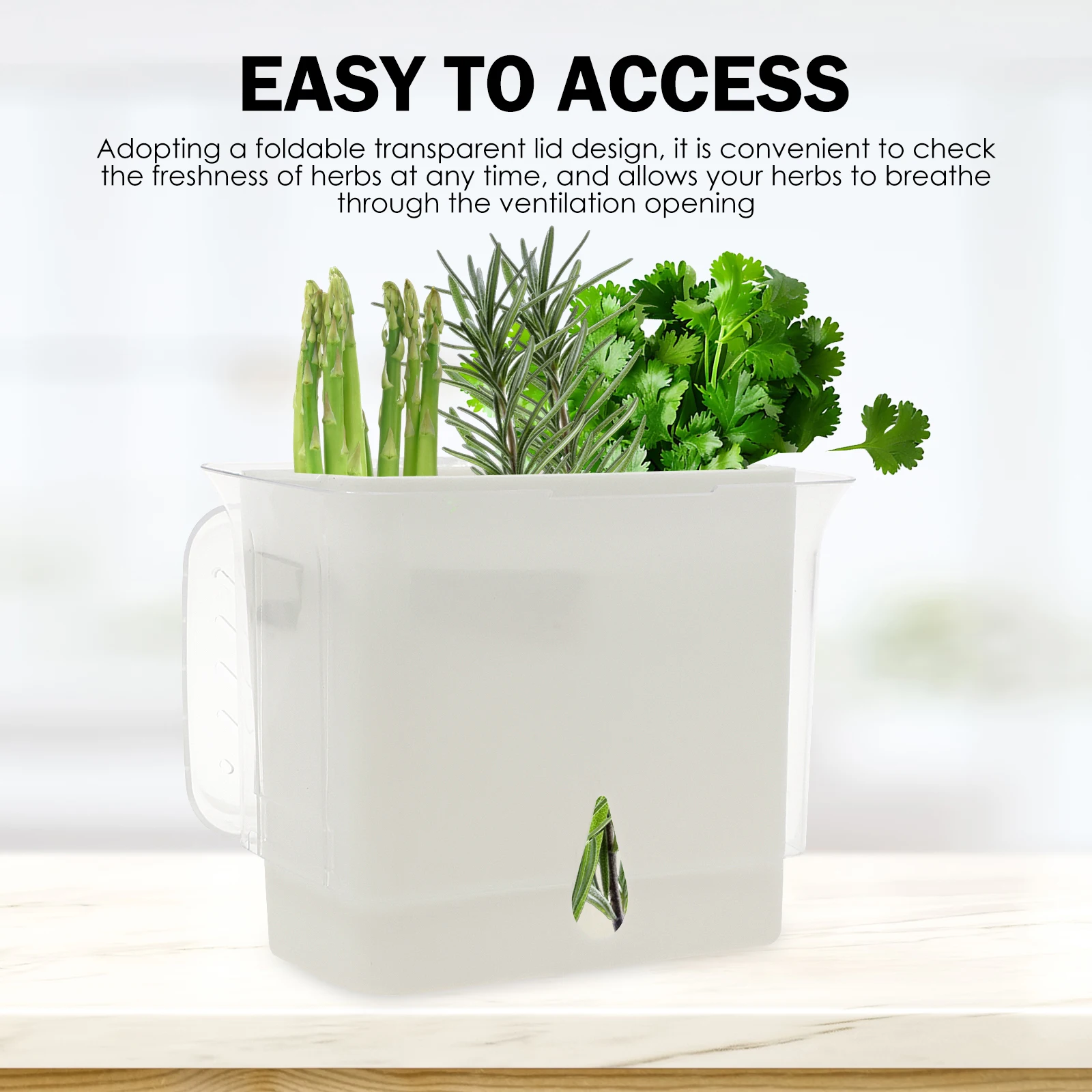 クリアハーブセーバー保存容器 密閉型フレッシュハーブキーパー - Herb Keeper Container のレビューと価格