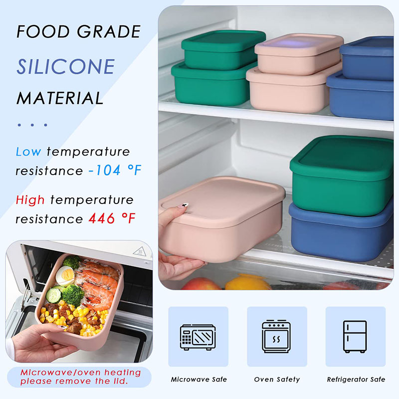 漏れ防止弁当箱 再利用可能 BPAフリー 食事準備容器 食品 - Food Storage Containers B&M のレビューと価格